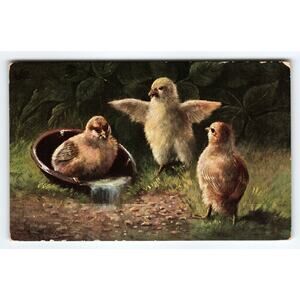 Vintage Signed Muller Artist Postcard Chick Scene The Royal Series 1917